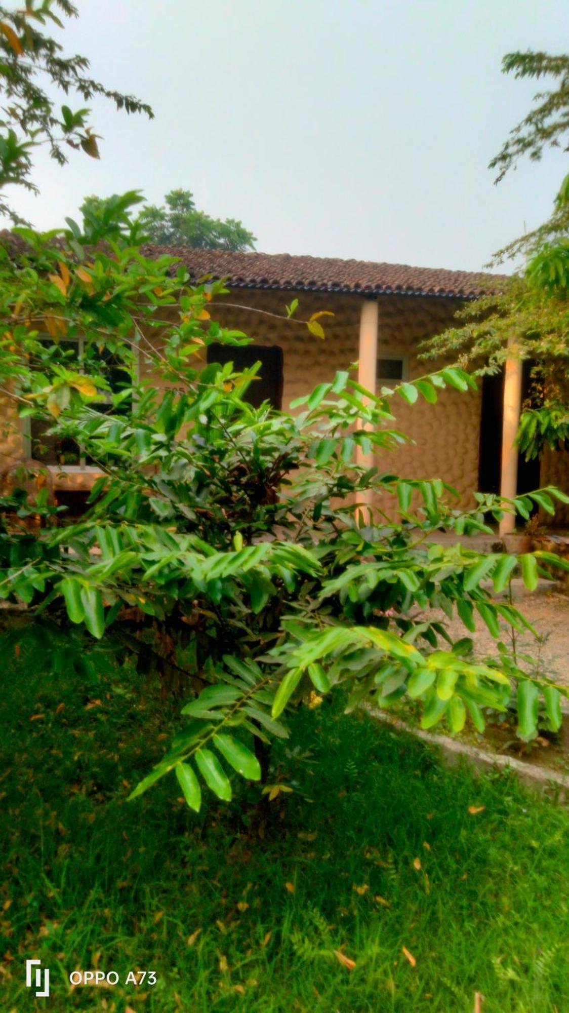 Hotel Tiger Tops Sauraha Quarto foto